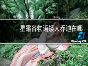 星露谷物语矮人乔迪在哪