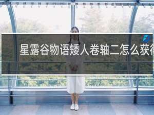 星露谷物语矮人卷轴二怎么获得