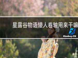 星露谷物语矮人卷轴用来干嘛