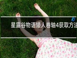 星露谷物语矮人卷轴4获取方法