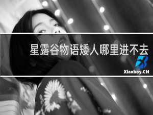 星露谷物语矮人哪里进不去