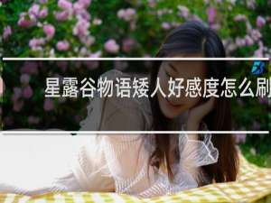 星露谷物语矮人好感度怎么刷