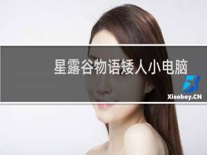 星露谷物语矮人小电脑