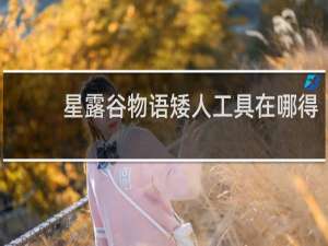 星露谷物语矮人工具在哪得