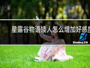 星露谷物语矮人怎么增加好感度