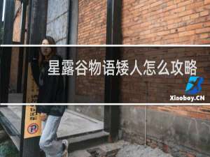 星露谷物语矮人怎么攻略