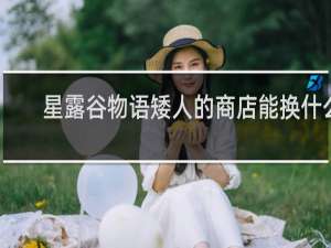 星露谷物语矮人的商店能换什么