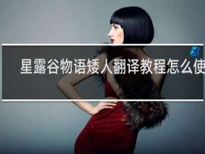 星露谷物语矮人翻译教程怎么使用