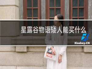 星露谷物语矮人能买什么