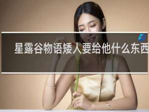 星露谷物语矮人要给他什么东西吗