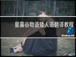 星露谷物语矮人语翻译教程