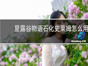 星露谷物语石化史莱姆怎么用