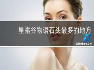 星露谷物语石头最多的地方
