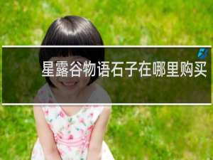 星露谷物语石子在哪里购买