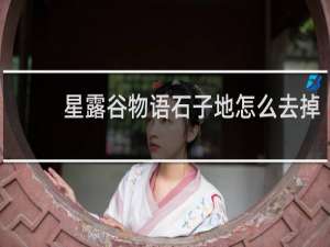 星露谷物语石子地怎么去掉