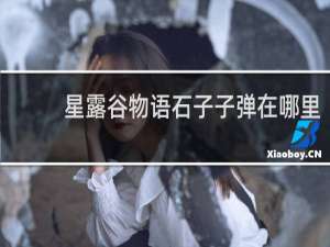 星露谷物语石子子弹在哪里