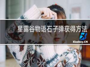 星露谷物语石子弹获得方法