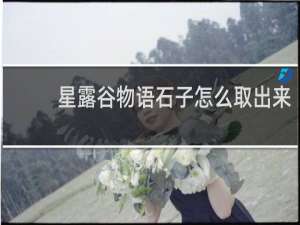 星露谷物语石子怎么取出来