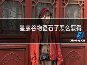 星露谷物语石子怎么获得