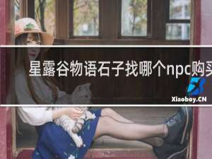 星露谷物语石子找哪个npc购买