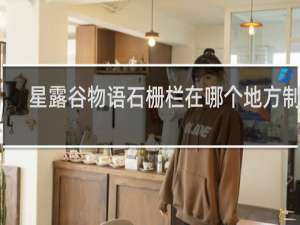 星露谷物语石栅栏在哪个地方制作