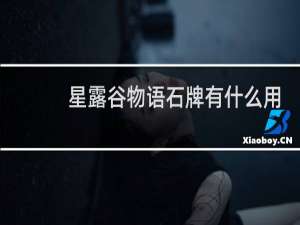 星露谷物语石牌有什么用