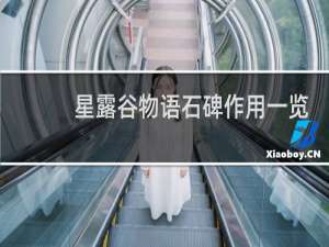 星露谷物语石碑作用一览