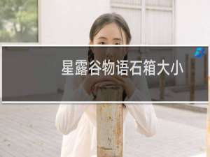 星露谷物语石箱大小