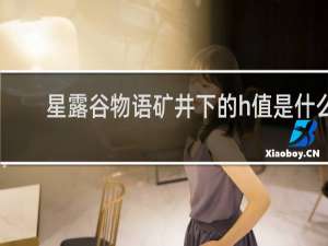 星露谷物语矿井下的h值是什么