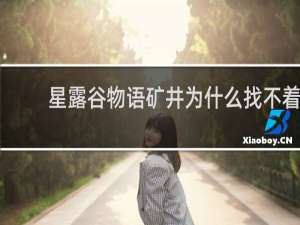 星露谷物语矿井为什么找不着