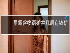 星露谷物语矿井几层有铱矿