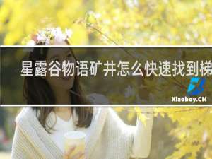 星露谷物语矿井怎么快速找到梯子