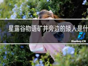 星露谷物语矿井旁边的矮人是什么