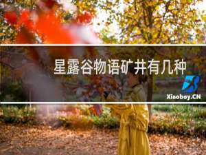 星露谷物语矿井有几种