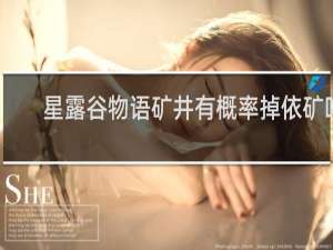 星露谷物语矿井有概率掉依矿吗