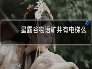 星露谷物语矿井有电梯么
