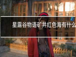 星露谷物语矿井红色海有什么