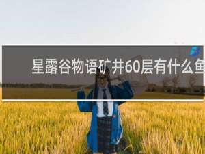 星露谷物语矿井60层有什么鱼