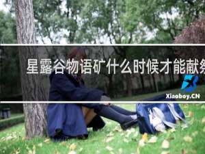 星露谷物语矿什么时候才能献祭