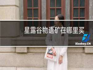 星露谷物语矿在哪里买