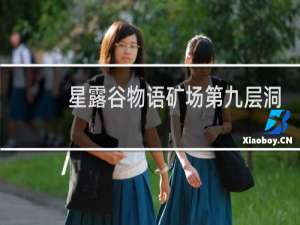 星露谷物语矿场第九层洞