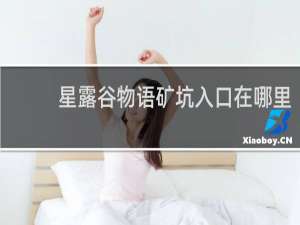 星露谷物语矿坑入口在哪里