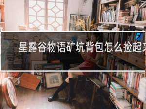 星露谷物语矿坑背包怎么捡起来