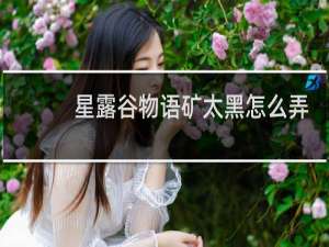 星露谷物语矿太黑怎么弄