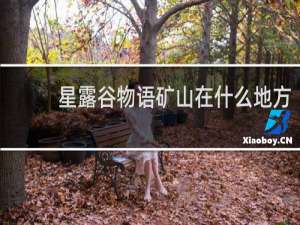 星露谷物语矿山在什么地方