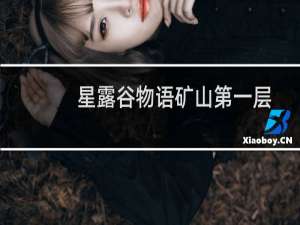 星露谷物语矿山第一层