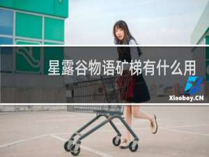 星露谷物语矿梯有什么用