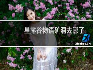 星露谷物语矿洞去哪了