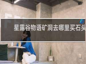 星露谷物语矿洞去哪里买石头