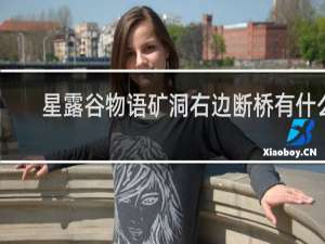 星露谷物语矿洞右边断桥有什么